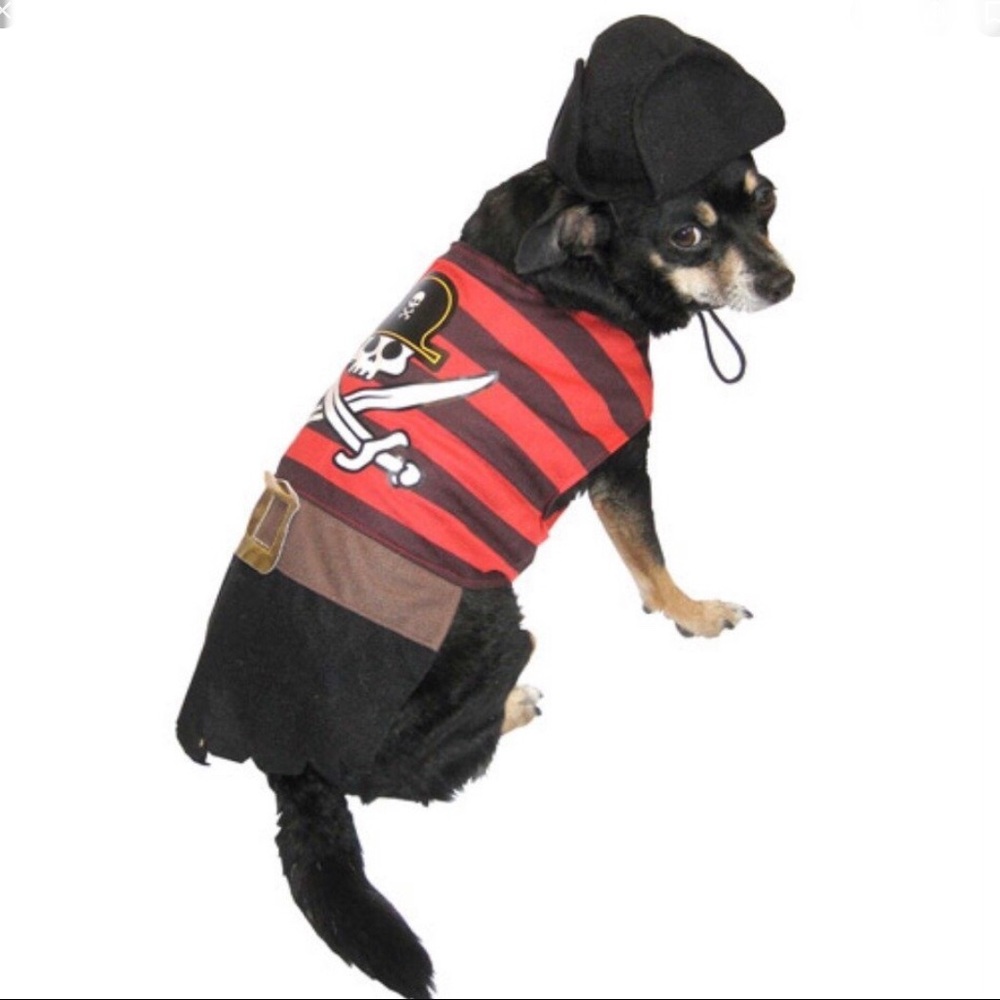 Dog pirate costume